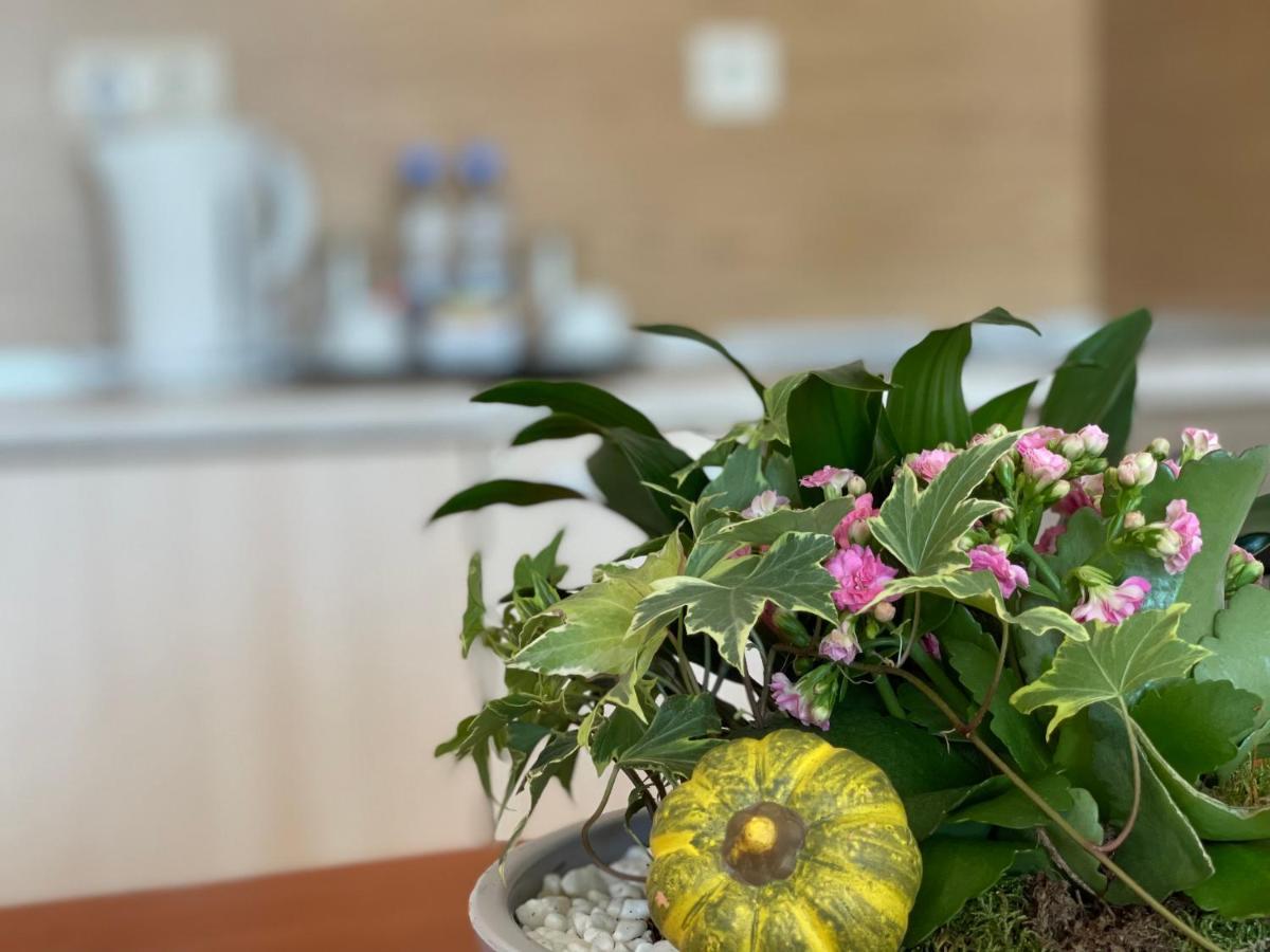 Adeona Wellness Hotel By Asteri Hotels Бансько Екстер'єр фото